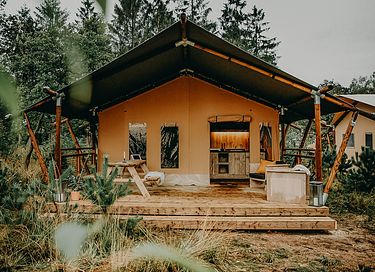Luxe familie tent op de Veluwe - 2