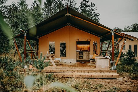 Luxe familie tent op de Veluwe - 2