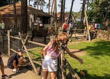 Chalet pour 4 personnes dans le Limbourg belge - 27
