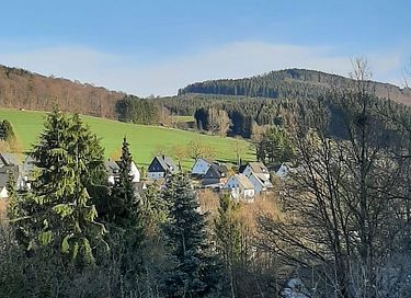 Wellness-Haus mit Sauna im Sauerland - 30