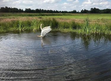Uniek vakantiehuis met jacuzzi en uitzicht - 35