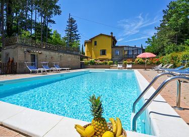 Holiday home for 20 people with pool - 40