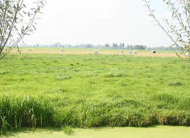 Vakantiehuisje in Utrecht - 17