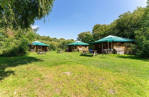 Vacation bungalow on nice dune campsite - 4