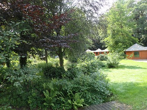 Overnachten in een natuurhuis met sauna - 2