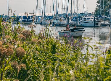 Séjour confortable près de l'eau (4p) - 23