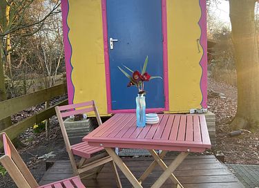 Colorful gipsy wagon in the Groningen forest - 6