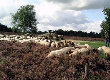 Uniek verborgen ondergronds vakantiehuis  - 25