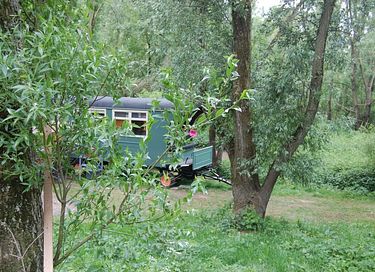 Unieke paardentram op een prachtige locatie - 12