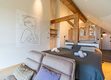 Wellness villa Texel with hot tub and sauna - 16
