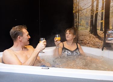 Bungalow met sauna in Drenthe - 5