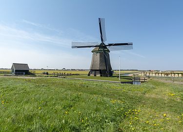 Gemütliches Studio in Sint Maartenszee - 20