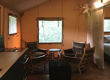 Ruime lodge op mooi domein met paarden - 7