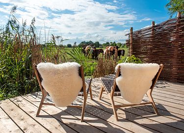 Einzigartiges B&B in der Randstad - 10
