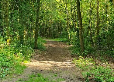 Tente safari de luxe avec bien-être dans le Brabant - 20