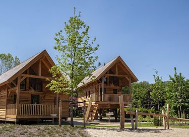Uniek vakantiehuis in N-Brabant met hottub - 5