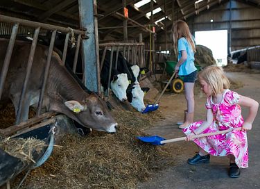 Glamping auf der Dairy & Calf Farm - 14