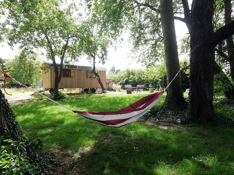 Circus wagon in an orchard - 2