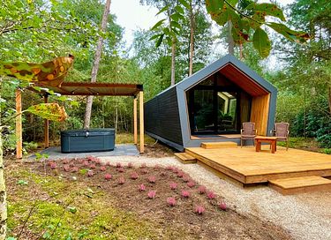Waldhaus mit Jacuzzi - 12
