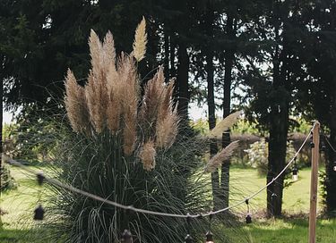 Overnachten in monumentale schaapskooi - 19