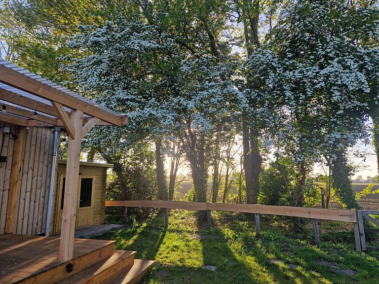 Cozy Tiny House in wooded area - 1