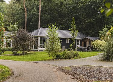 Übernachten in den Wäldern von Overijssel - 2