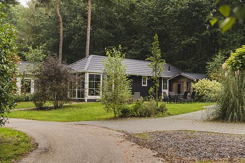 Übernachten in den Wäldern von Overijssel - 2