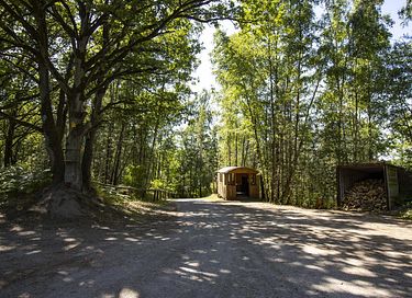Einzigartiges Hobbit-Haus im Wald - 21
