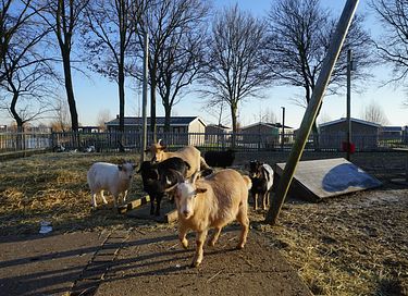 Villa voor 8 personen op waterrijk park - 22