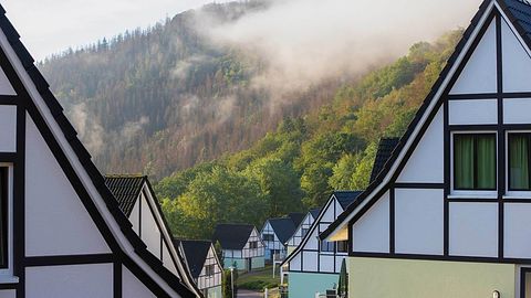 Luxury vacation home in Germany with sauna - 3