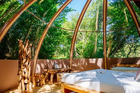 Luxe bubble met privé badkamer - 5