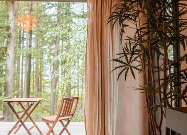 Romantic cabin at a forest edge - 11
