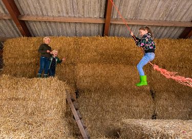 Glamping à la ferme des vaches laitières et des veaux - 13