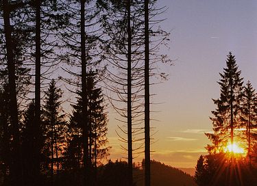 Gezinsappartement (5p) in Winterberg - 30
