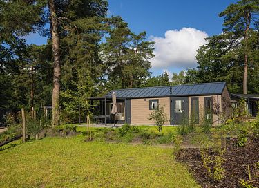 Ferienwohnung mit Whirlpool auf der Veluwe - 5