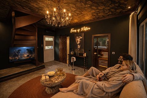 Waldhaus mit Jacuzzi, Sauna und Dampfbad - 3