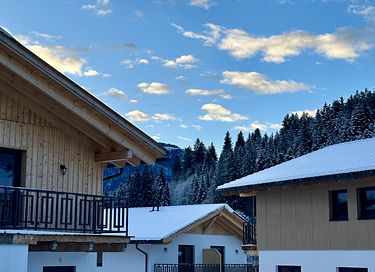 Gezinsvriendelijk chalet in Karinthië - 13