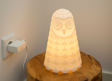 Logement de vacances avec sauna à Oostkapelle - 20