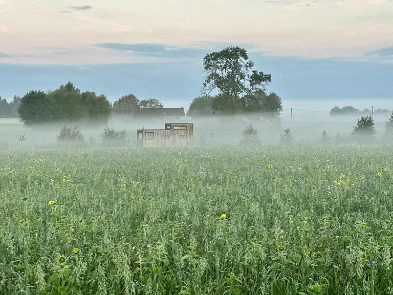 Tiny House mit schöner Aussicht - 1