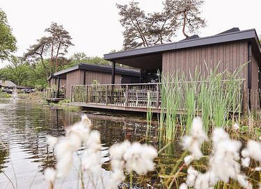 Sustainable stay in boutique holiday park - 32
