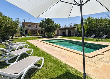 Groen vakantiehuis met veel privacy  - 7