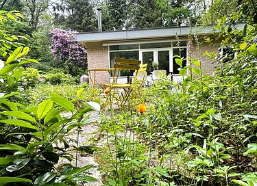Waldhaus in Drenthe mit Kamin und großem Garten - 13
