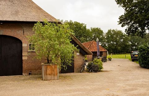 Glamping inmitten von Kühen in einer waldreichen Gegend - 3