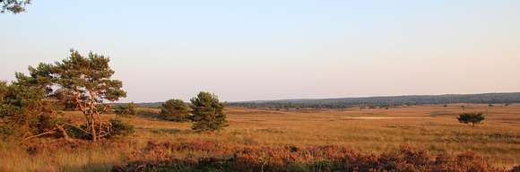 veluwe