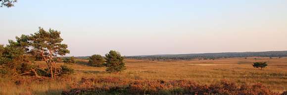 veluwe