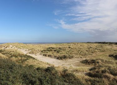Cozy cottage with panoramic view on Ameland - 21