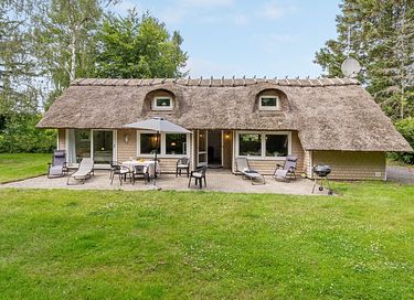 Rietgedekt vakantiehuis in Denemarken