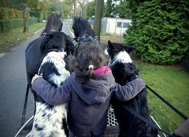 Ruime lodge op mooi domein met paarden - 26