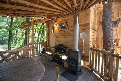 Prachtige boomhut in de Belgische natuur - 3