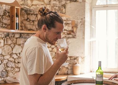 Tiny house dans les vignes en Dordogne - 21
